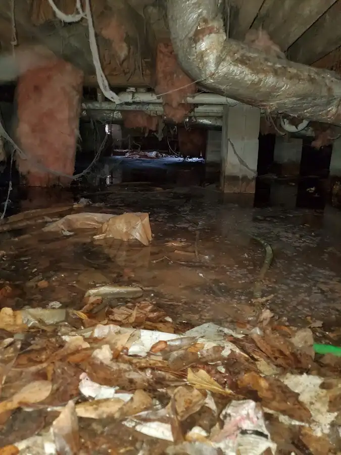 Crawl space flood assessment for Leak Detection & Repair in Palm Desert